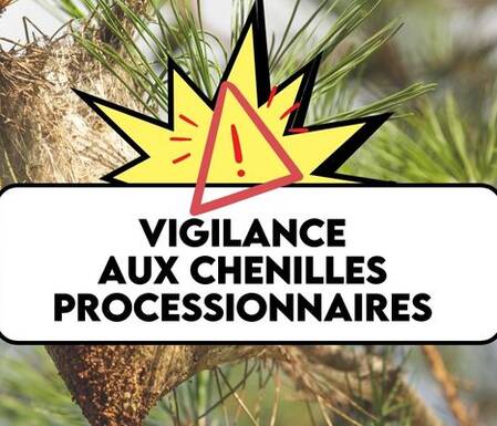 Photo de Vigilance aux chenilles processionnaires !