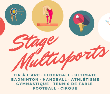 Photo de Stage Multisports - vacances février