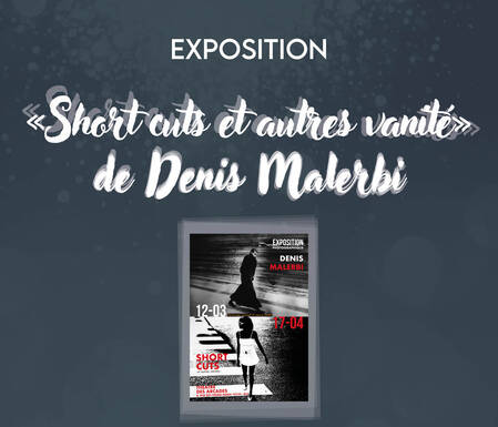 Photo de Exposition "Short cuts et autres vanités" de Denis Malerbi