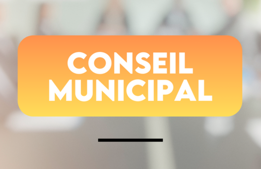 Photo de Conseil Municipal - vote du budget 2024