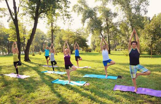 Photo de Sortie Nature : Médiation Yoga Nature