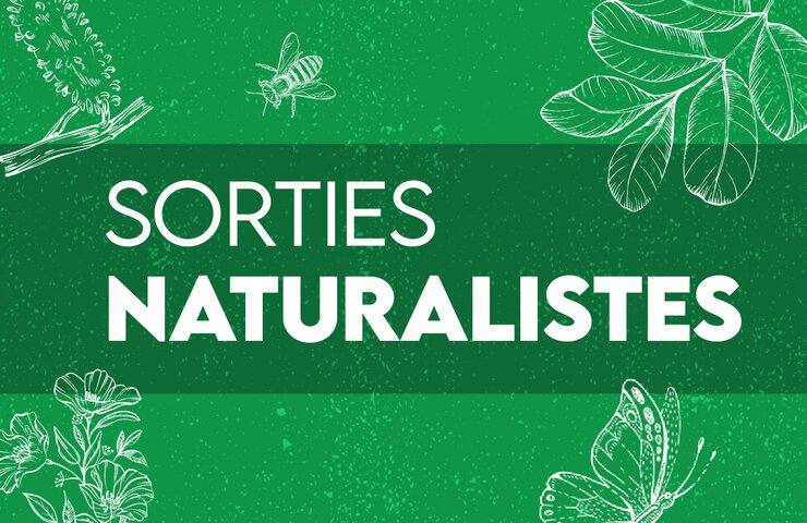 Photo de Sorties naturalistes